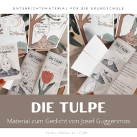 "Die Tulpe" - Unterrichtsmaterial zum Gedicht von Josef Guggenmos